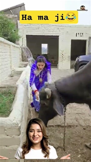 han ji Mummy ji 😂😂#shorts #video #funny #greenscreen