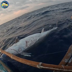 11M views · 94K reactions | GIANT TUNA sa Palikpik lang Sinabitan  | Kuys Dagz Fishing | Facebook