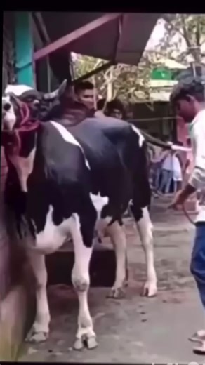 Skip traffic. Save money. Arrive fresh. One charge. Multiple adventures. Parking problems? Never heard of them. Commute faster, sweat less. A smarter way to move around the city. ⚡ Ride Wedgetail. 📍 Subiaco | 🌐 wedgetailbikes.com.au #EbikeLife #WedgetailBikes #RideBetter