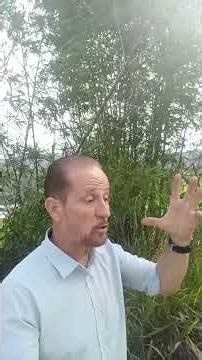 7 de fevereiro de 2026