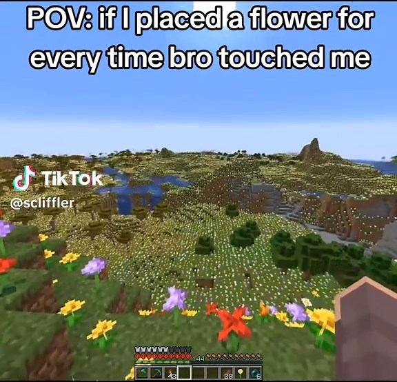 Relatable Minecraft Humor: Touching Moments in Skits