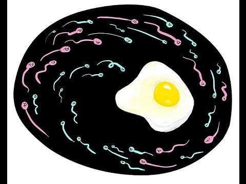 How to - Male Fertility test at home (live)