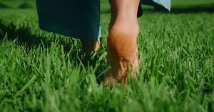 Female Bare Feet Walking on Green Grass Lawn Barefoot Woman Steps Gently Carefully on Summer Meadow
