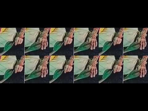 Why Snakes Bite: Understanding Snake Behavior and Safety Measures