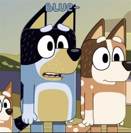 Cuentas recomendadas