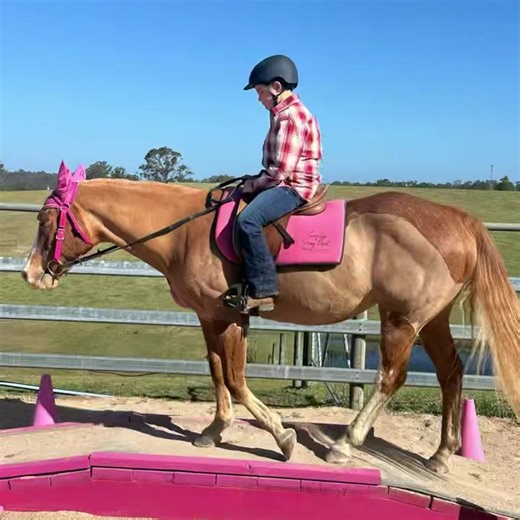 4.6K views · 86 reactions | Jack had his first riding lesson this afternoon. Could have gone either way….. but he loved it! Thankyou Jody from Geejay Pony Park the place to be  Hardest part was choosing what to wear. 浪 | Bairnsdale Horse Centre | Facebook