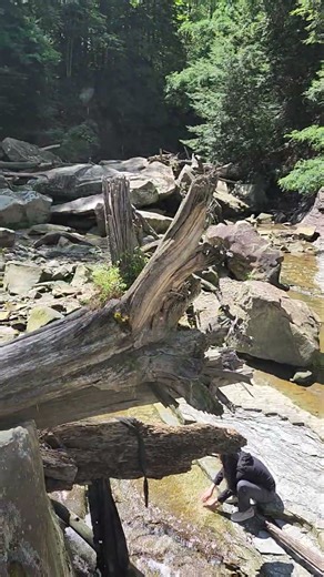 Chippewa Creek in the Brecksville Reservation