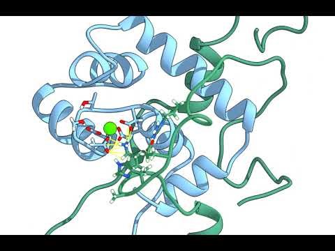 Simulation of PDB 1J1E with NTnI added.