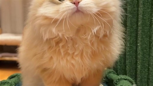 只有发声，才能有机会被听见！