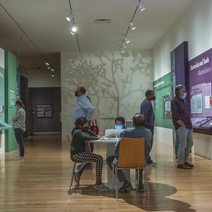 3.5K views · 1.2K reactions | It’s Goghing, Goghing… but it’s not gone yet! Don’t miss the must-see exhibition that’s being hailed as “remarkable,” “luminous,” and a “joy to behold!” Explore "Van Gogh and the Olive Groves" before it closes February 6. | Dallas Museum of Art | Facebook