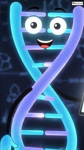 Genotype vs Phenotype — What's the Difference?
