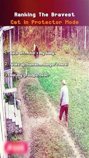 When a Cat Becomes Your Guardian 🐱❤️