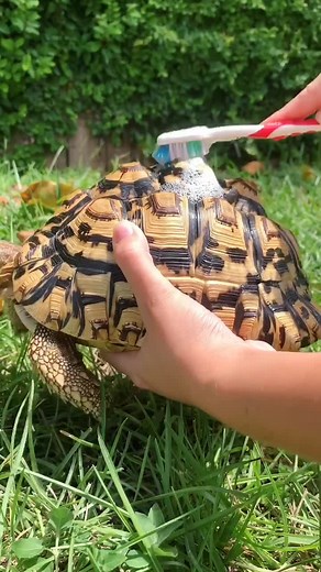 Emily Nichole on TikTok