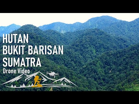 Explore Bukit Barisan Sumatra: Pandangan Drone Menakjubkan!