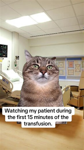 Monitoring Transfusion: First 15 Minutes Insights