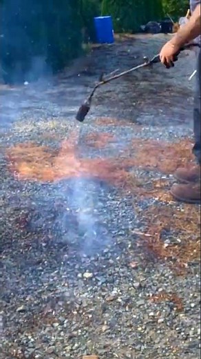 Torching Weeds: The Ultimate Garden Hack!