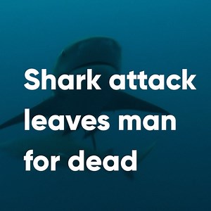 14K views · 83 reactions | Watch the chilling footage of the moment a bull shark dragged him under. | Quest | Facebook