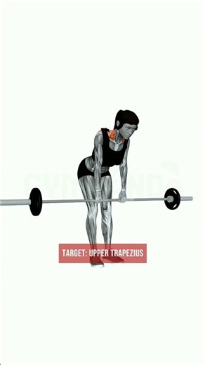Barbell Silverback Shrug Form Guide — Muscles Worked