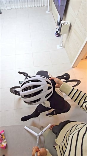 Road Bike 😎 NOT CUTE ANYMORE (Sped up)