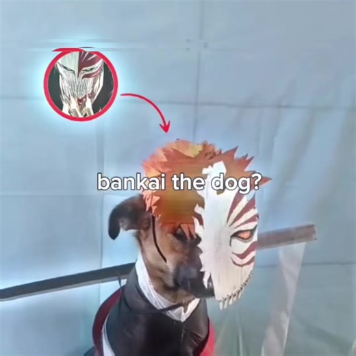 dog bankai or ichigo bankai? #ichigo #edit #bleach #fyp #rec