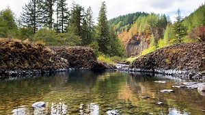 Fall colors emerge from the evergreen forest along the Molalla River – video: Greg Shine, BLM The Molalla River, one of the few undammed tributaries of the Willamette River, is about an hour southeast of Portland. There are several popular recreation sites along the Molalla, all offering river access for picnics, hikes, camping and fishing, to name a few outdoor favorites. The area is also known as the gateway to the Table Rock Wilderness. 📍 Visit: https://www.blm.gov/visit/molalla 📸 Molalla R