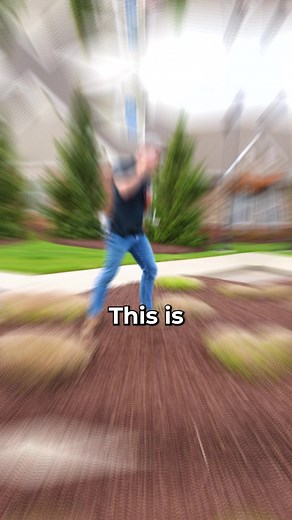 How to Cut Ornamental Grass ✂️ #lawn #lawncare #landscaping #grass | Big Lakes Lawncare LLC.