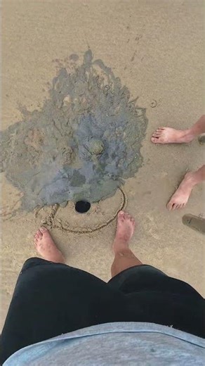 First-person perspective: Watching you catch mantis shrimp at the beach.