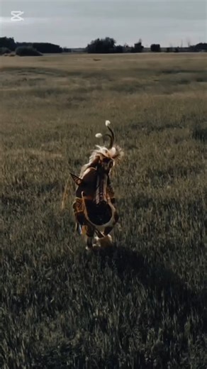 We need a big Aho! | Sitting Bull