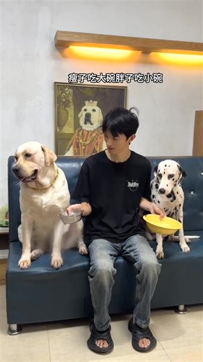 4.1K views · 204 reactions | You can't afford to suffer any loss! does this dog look like a human being pet #funnydog #FYI #Pets #doglife #Luna | Luna Golden Retriever | Facebook