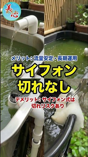 This Is the Best Overflow!