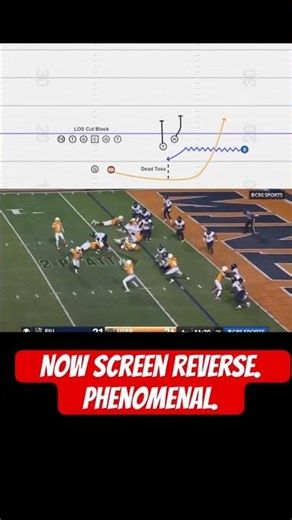 Now Screen Reverse Technique (TESTED)