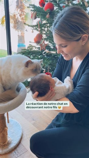 Entrepreneure & Maman · Voyages · Lifestyle · Création UGC on Instagram: "Cette rencontre, on l’a imaginée 100 fois avec JC. On avait préparé Norway à ça pendant 9 mois, quand j’étais à la maternité, JC lui emmenait des affaires de Milo pour qu’il s’habitue à son odeur, mais comme Norway n’est pas très câlin, on ne savait pas du tout à quoi s’attendre. Finalement, il a été curieux et très mignon. Depuis, ces deux-là continuent de s’apprivoiser. Norway est en permanence avec nous, et proche de Mi