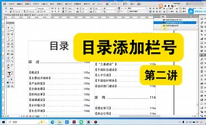 目录添加栏号之统计年鉴史志类图书排版之indesign脚本教程