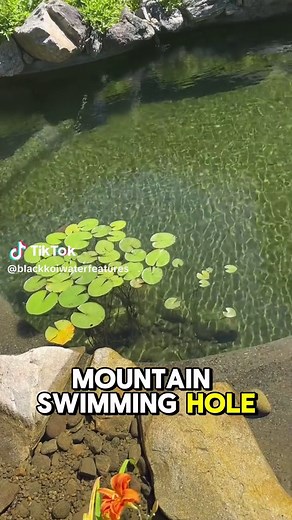 Aquascape Recreation Pond: Mountain Swimming Hole at Home