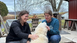 Wilson Creek Pottery helps mold Spring Green into arts hub