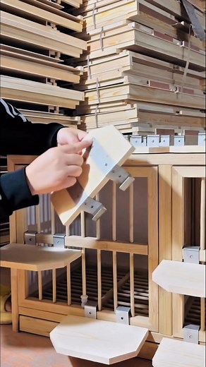 Racing pigeon perches #reelsvideoシ #fblifestyle #racingpigeons | Amazing Loft