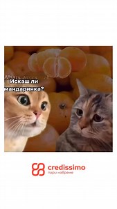 @credissimo #credissimo | Meme Marketing