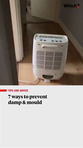 7 ways to keep damp and mould at bay. The earlier you can spot signs of damp the easier it will be to get rid of. Look for clear indications on your walls, such as wet or damp patches, peeling wallpaper and flaking plaster. Other signs around the house are damp and musty smells, rotting wood such as skirting boards, or mould and mildew appearing on walls, floors or ceilings. | Which?