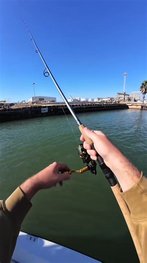 2.2K views · 16 reactions | HOW TO catch an ATLANTIC CUTLASS FISH! #angler #ribbonfish #fishingtips #cutlassfish #saltwaterfishing #fishtok #bigfish #howtofish101 | Aftore Outdoors | Facebook