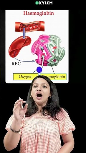എന്താണ് Haemoglobin ?