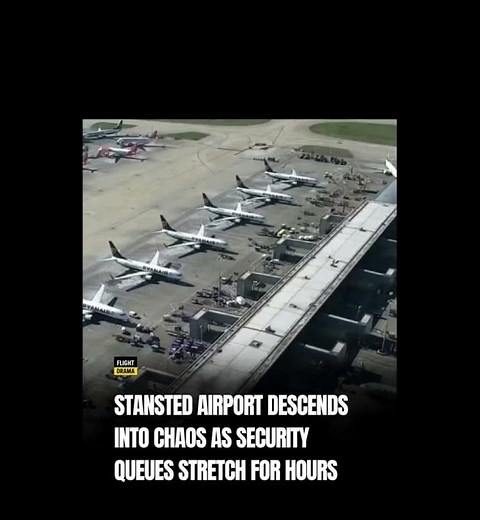 Stansted airport descends into chaos as security queues stretch for hours