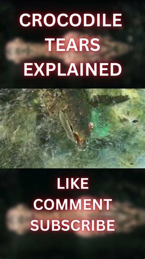 Crocodile Tears Explained | Why Crocodiles Cry While Eating | Nature Mystery Shorts