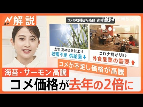 サーモンがマグロ超え価格“中トロ級”…海苔も来月から一斉値上げ、なぜ？コメ価格が去年の2倍【Nスタ解説】｜TBS NEWS DIG