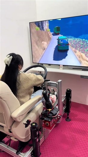 Real Steering + Big Screen Driving Simulator Experience 🚗🎮