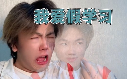 假学习到底是什么？？