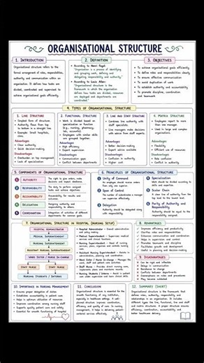 organisational structure and organizational chart notes