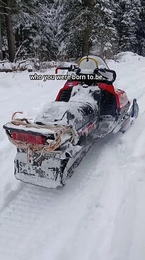 Backup Plan ~ Bailey Zimmerman with Luke Combs