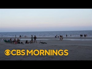 Early summer shark bites prompt beach safety warnings