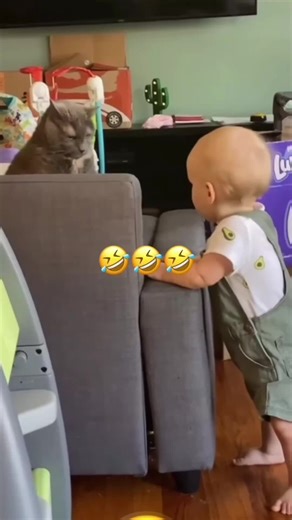 Funny Pets Voice-over #voiceover #petsoftiktok #dogsoftiktok #catsoftiktok #animals