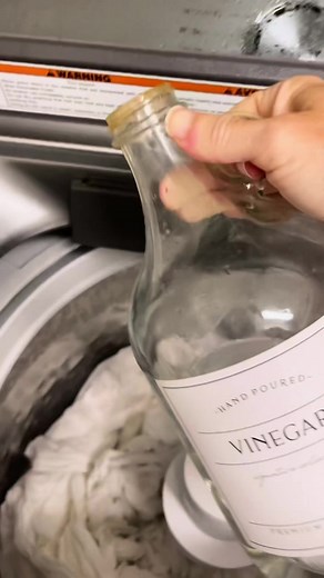 Noell-Mom of the Jett Set on TikTok